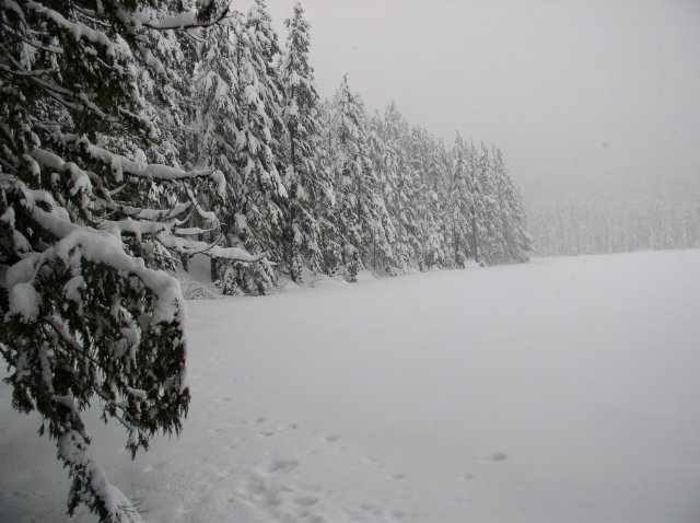 Frog Lake Snowshoe Jan 21 2005 010 